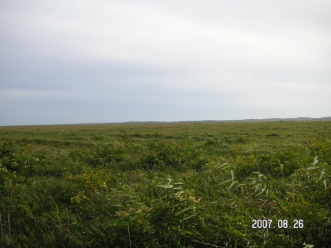 s_PICT0096.jpg